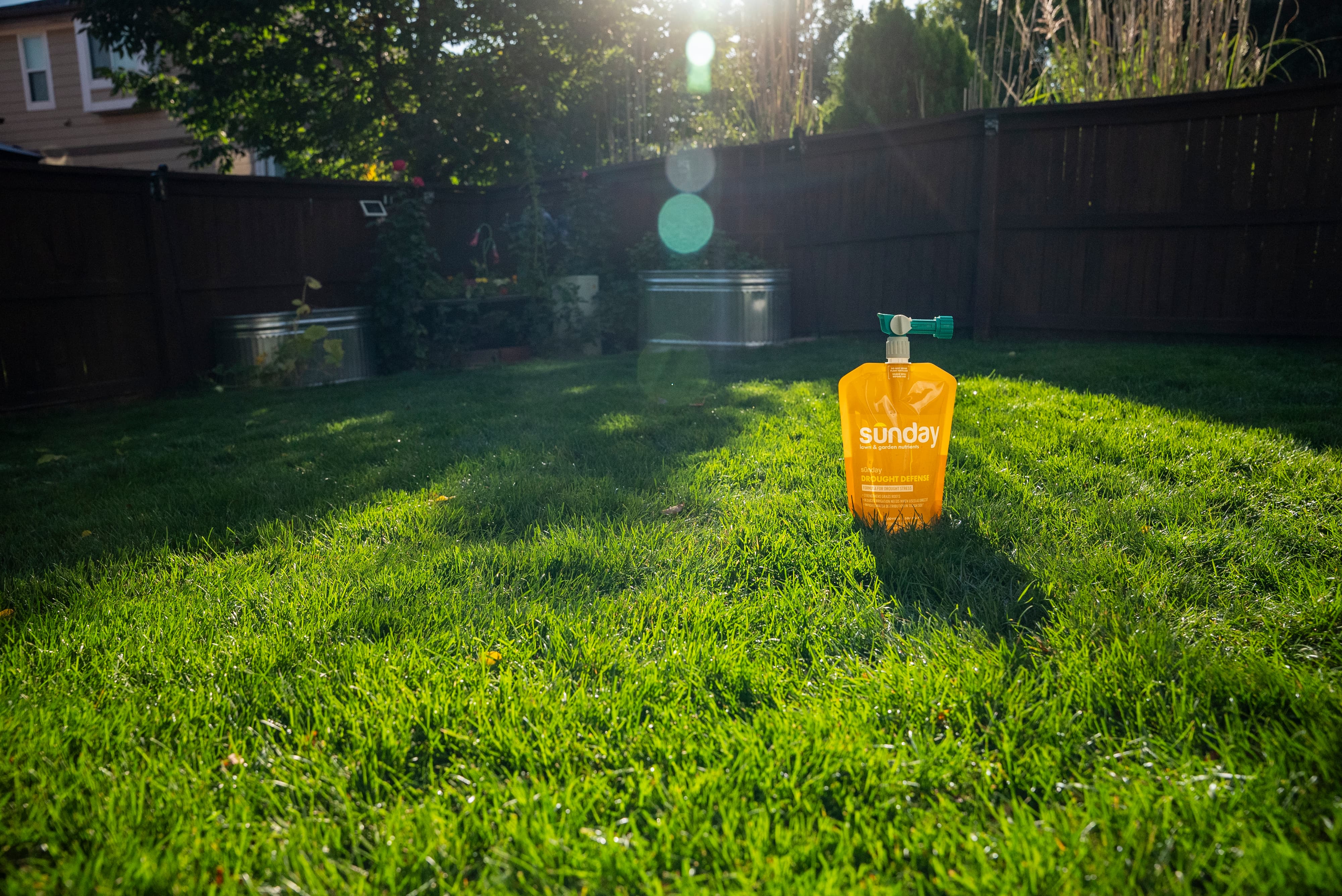 A Sunday lawn care product on a lawn.