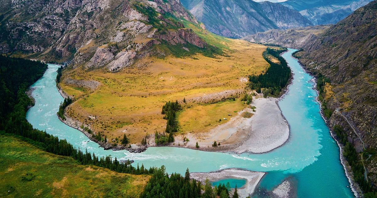 Confluence Genetics Emerges Stronger Post Benson Hill Acquisition