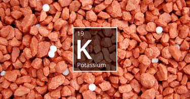 S2g Fertilizer Blogs2g fertilizer Blog 1