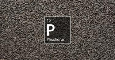 S2g Fertilizer Blogs2g fertilizer blog 2