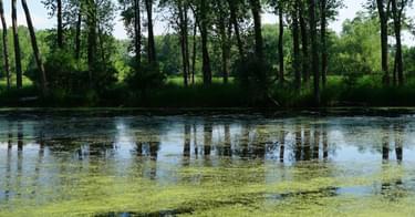 S2g Fertilizer Blogs2g fertilizer blog 4