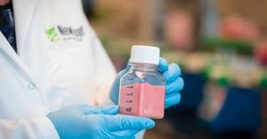 S2g Fertilizer Blog New Leaf