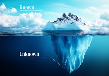 S2 G Investing and Innovating Black Swans graph1