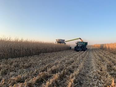A combine harvester at work in a field.