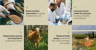 A collage of animals, people, and words