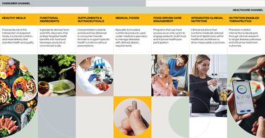 A chart of food classifications